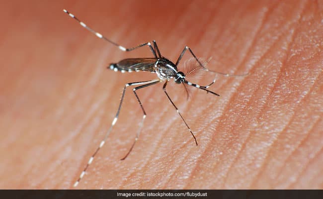 No. of dengue cases in Chandigarh has gone up to 680. Here are some tips to prevent dengue.