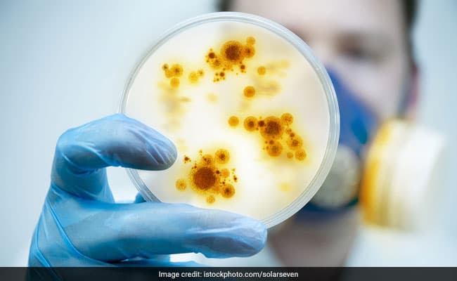 This gene mutation may increase your life span by 10 years