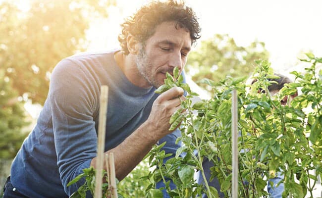 This is why odours induce a sense of nostalgia