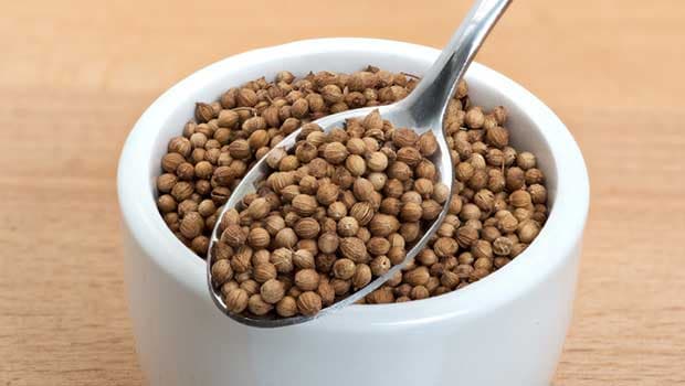 Coriander seed is an undervalued herb, because of its untaught benefits