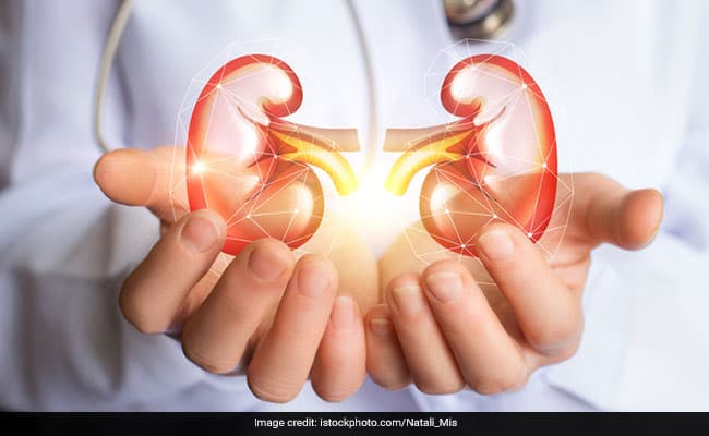 World Kidney Day 2019: The theme of World Kidney Day 2019 is Kidney Health for Everyone Everywhere.