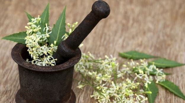 Neem has been referred to as a "wonder herb"