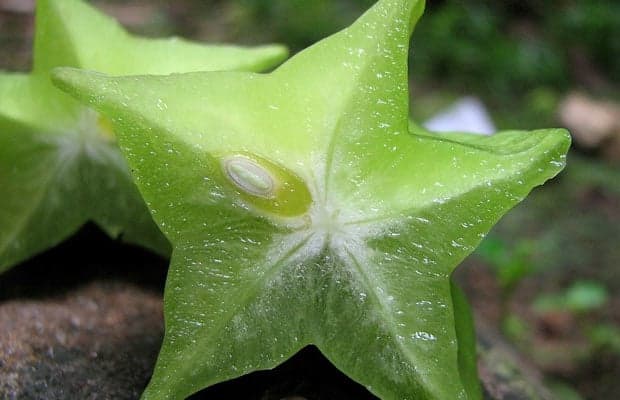 Star fruit can offer several health benefits