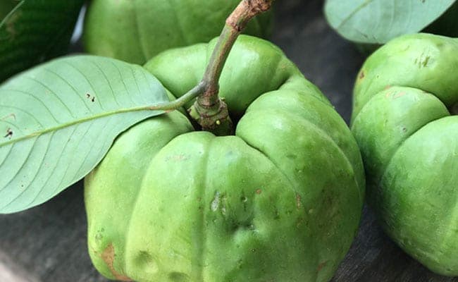 Garcinia Cambogia has the ability to burn oodles of fat in just a month