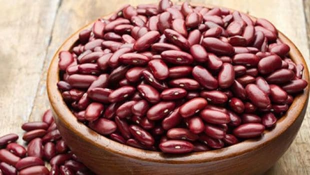 Lectin proteins can cause problem with digestion