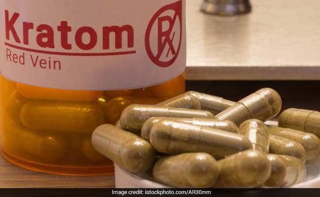 Kratom or Mitragyna speciosa is an evergreen plant of the coffee family