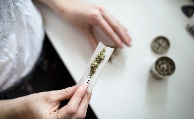 Occasional use of cannabis can help curb stress