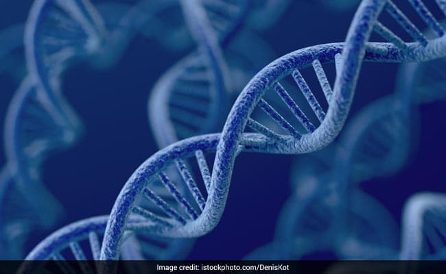 The wacky DNA: The thing that sets us apart