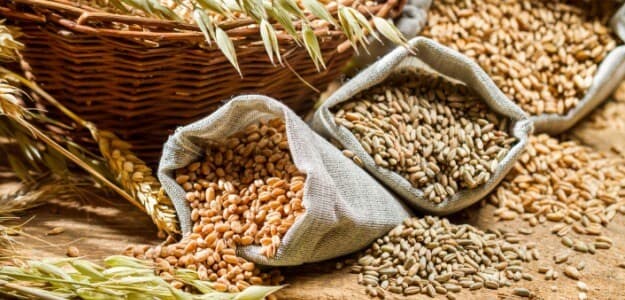 Whole grains provide many nutrients, such as fibre, B vitamins, and minerals, which are removed during the refining process, researchers said.
