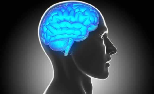 For their research, the team built a 3D reconstruction of rat hippocampus tissue. (Representational image)