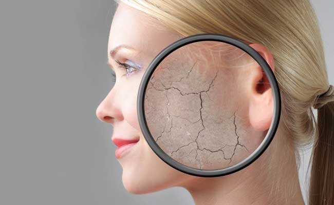 Now, a new University of Michigan study outlines the discovery of a protein that acts as a powerful protectant against free radicals. (File Photo)