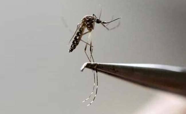 In India, chikungunya re-emerged in 2006, after a gap of 32 years. (Representational Image)