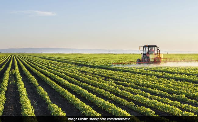 Agriculture, forestry and changes in land use combined are the second largest source of greenhouse gases.