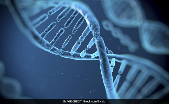 The finding was published in the journal Proceedings of the National Academy of Sciences.