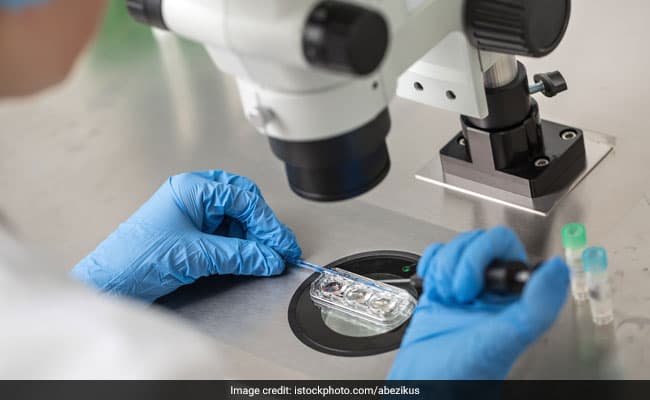 Health Benefits And Risks Of Egg Freezing