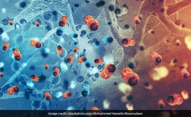 Leukemia: Understanding Cancer, Its Causes And Treatment Options