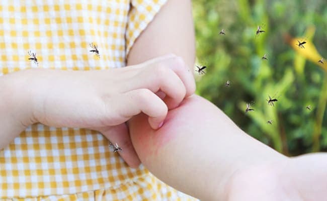 8 Tips To Recover From Dengue Infection