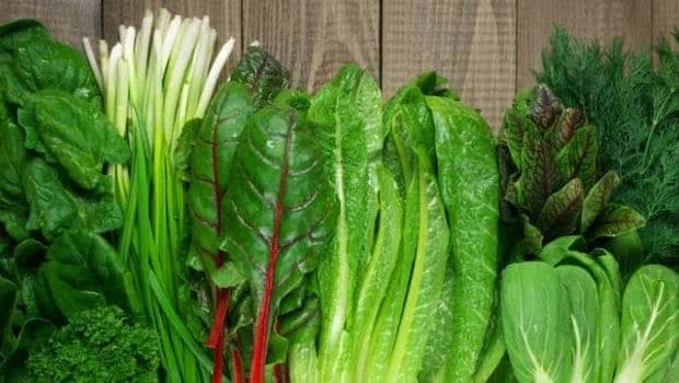 Irritable Bowel Syndrome: 10 Summer Foods To Help Manage Your Bowel