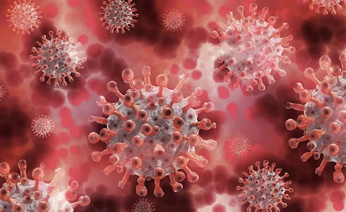 Here Is All You Need To Know About The Mysterious "Disease X" Outbreak