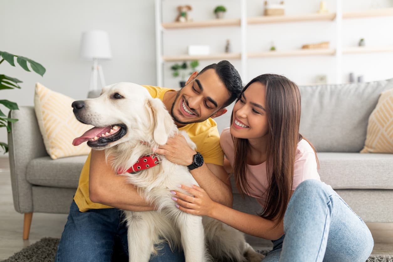 Can Dogs Help Improve Your Baby's Immune System?