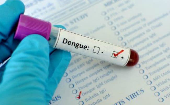 Dengue fever can result in high fever, skin rash and joint pain