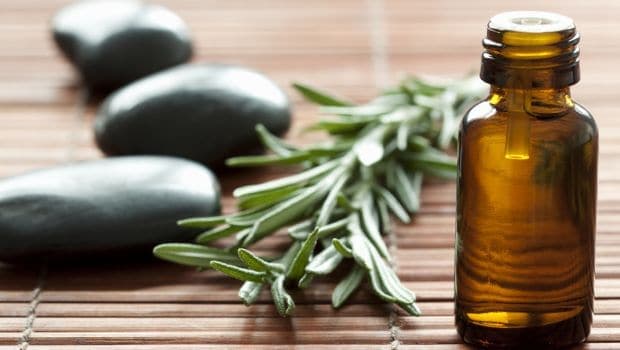 Inhaling the aroma of rosemary oil using a diffuser can be relaxing and calming to the mind