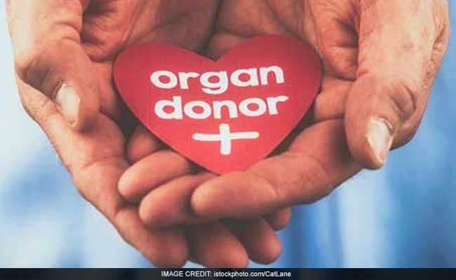 World Organ Donation Day 2024: Not just organs, one can also donate tissues
