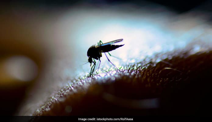In 2016, 20 deaths were reported due to dengue.