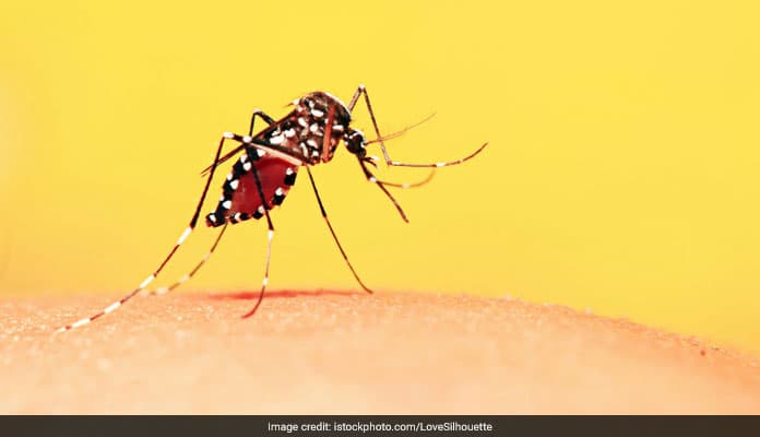 Breeding of mosquitoes took place due to piling up of waste.