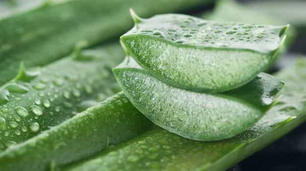 Hidden benefits of Aloe Vera