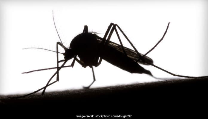 At least 657 people have been affected by dengue this season.