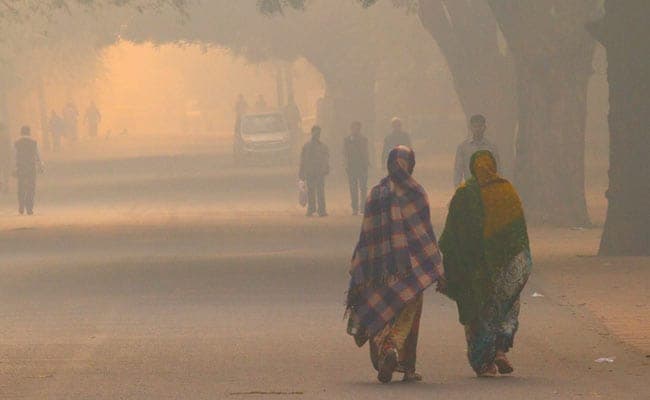 Fight air pollution with these useful home remedies