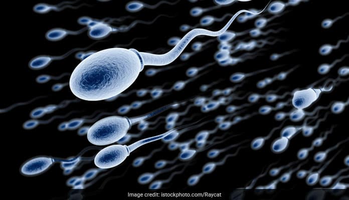 Novel Sperm-Sorting Device Could Improve IVF Success