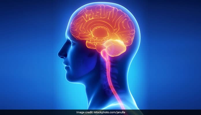 This is the first biological evidence for large brain changes in long-lasting depression