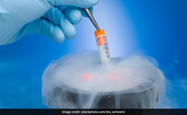 Thousands of eggs and embryos were likely lost