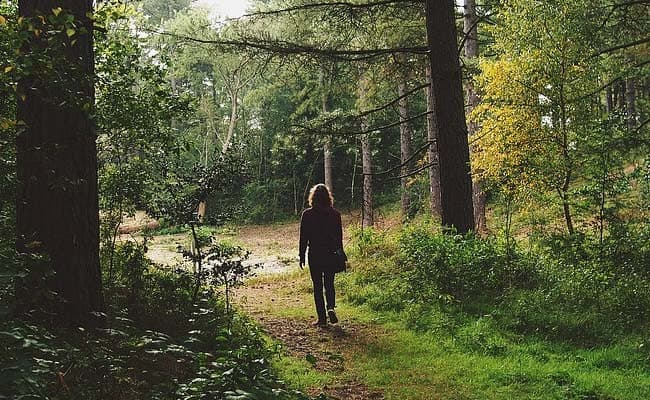 Living near nature may reduce the risk of diseases