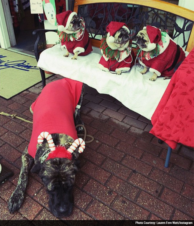 Gizelle_offbeat (1).jpg