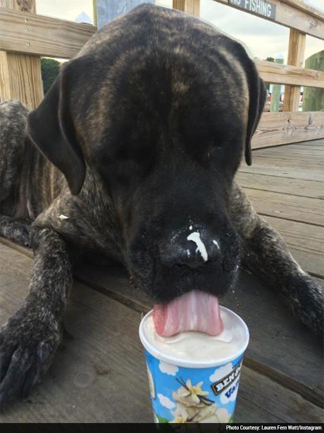 Gizelle_offbeat (3).jpg