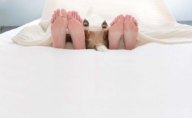 dog-photo-shoot (8).jpg