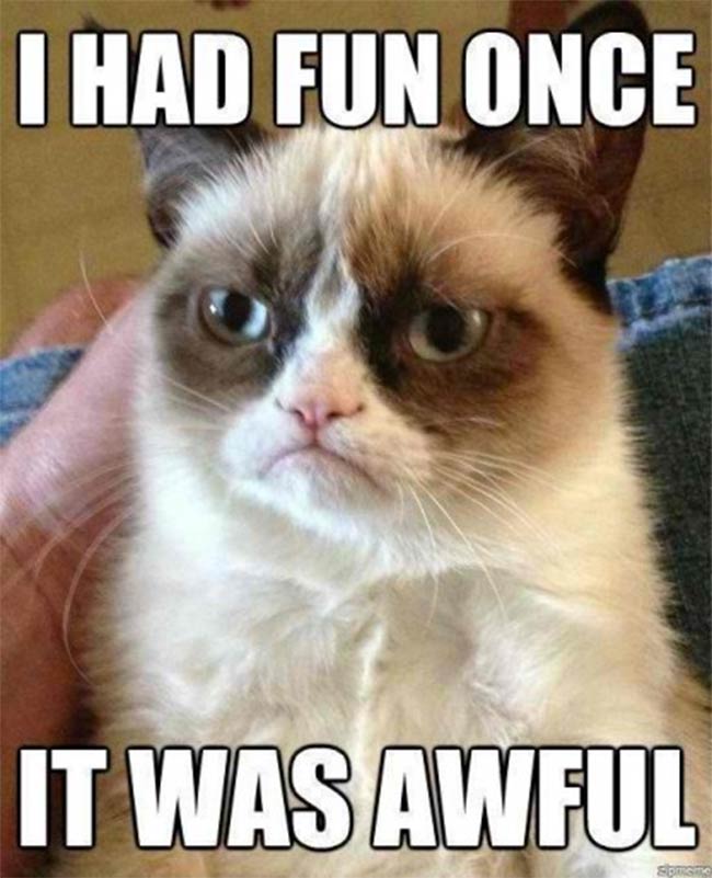 grumpy-cat (2).jpg
