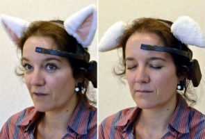 Japan's next gizmo: brainwave-controlled cat ears
