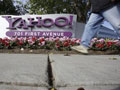 Yahoo shows progress under new CEO with 1Q results