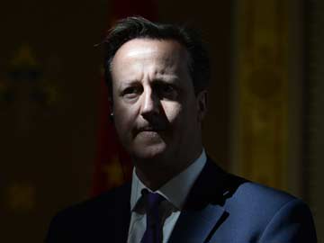 David cameron in shadow