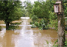 arkansasflashflood.jpg