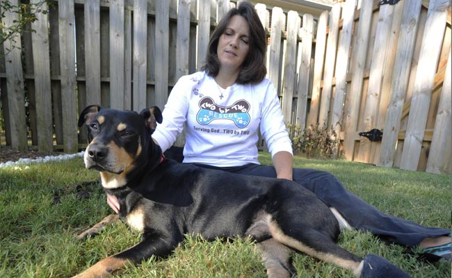 lazarus-650_bigstry (1).jpg