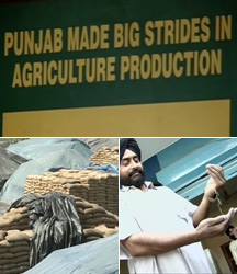punjabgoodharvest216.jpg